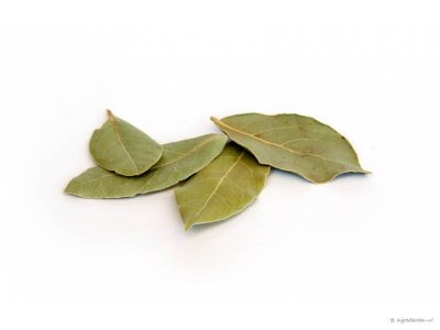 Verse laurier (20 gram)