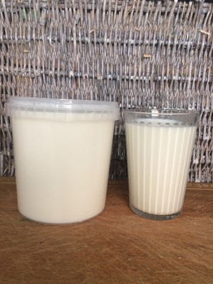 Schapen Melk 1L