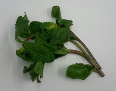 Munt (20 gram)
