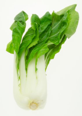 Paksoi