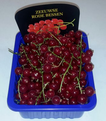 Rode (Aal)bessen (±450 gr)