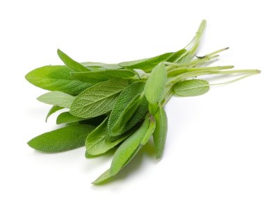 Verse salie (20 gram)
